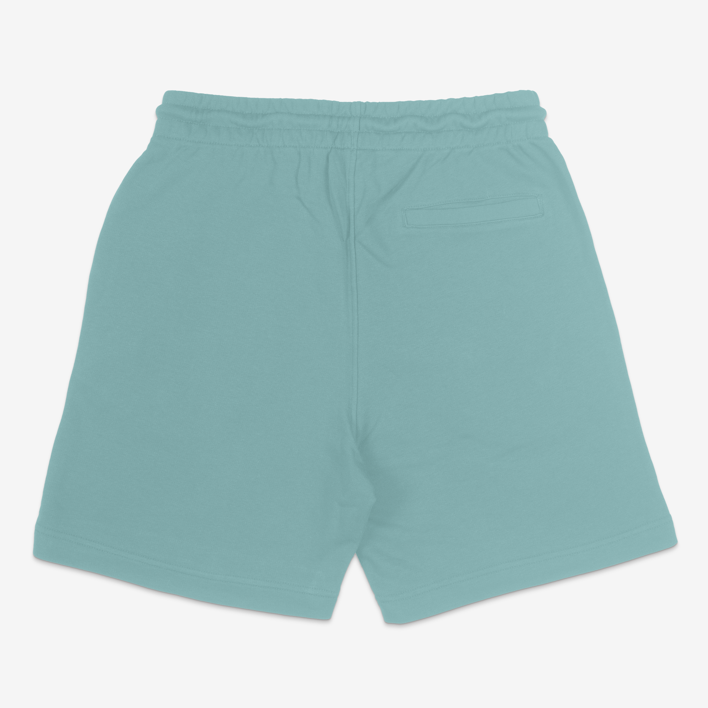 A- SCRATCH Shorts 250928